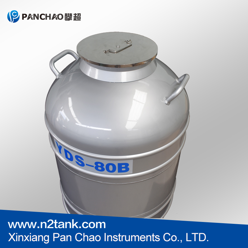 Liquid Nitrogen Storage Tank Container For Sal