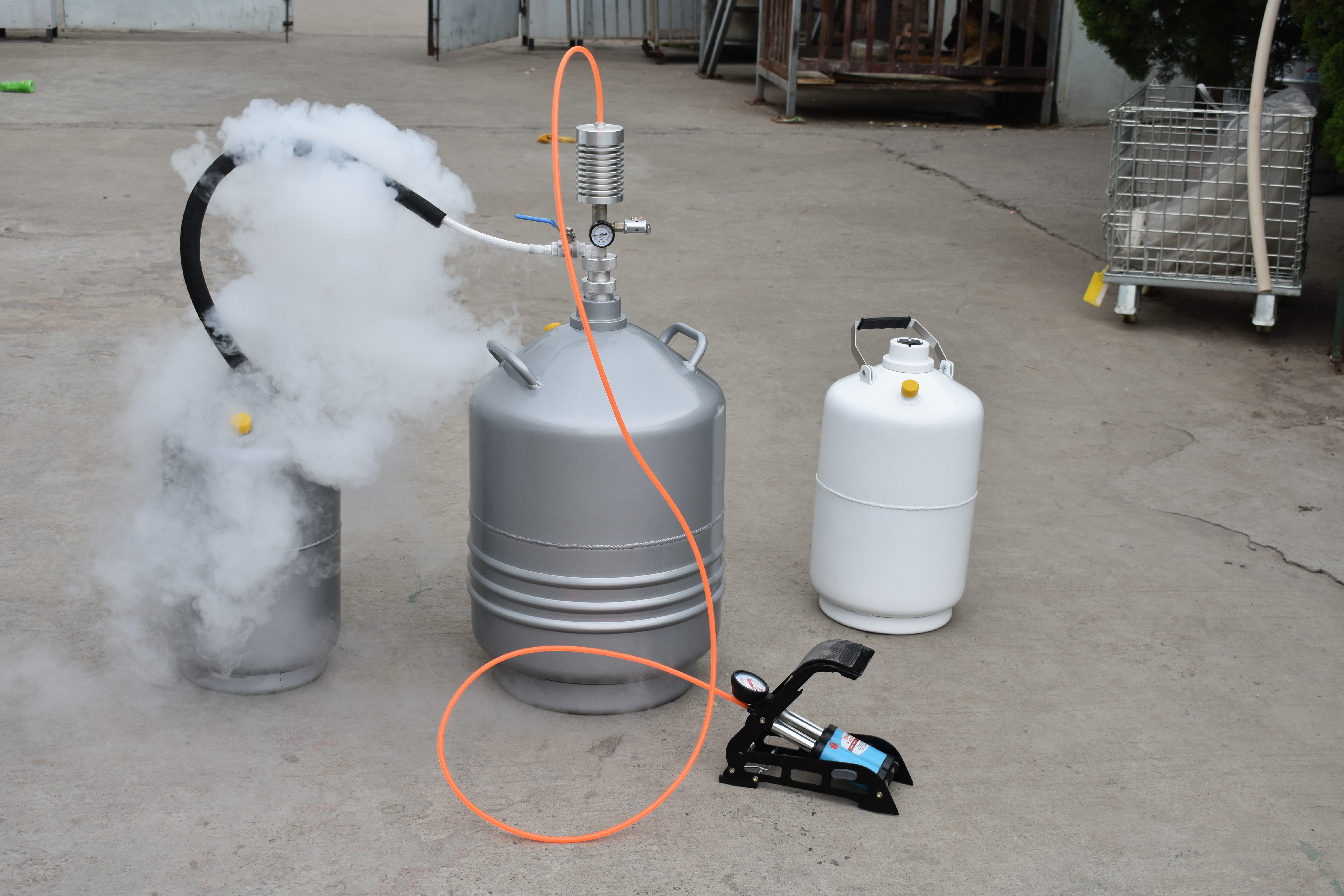 Yds-3 Biological sample Liquid Nitrogen Container/tank/dewar Price