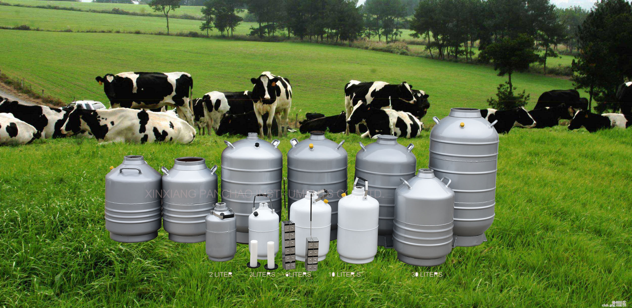 Liquid Nitrogen Artificial Insemination Semen Tank with CE Confirm