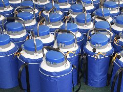 Why Is the Neck Tube Material of a Liquid Nitr